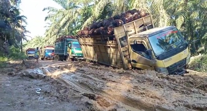 Jalan hancur lebur berada di 18 lokasi Kec. Rantobaek, puluhan hektare sampai ratusan hektare sawit. Adakah kontribusinya kepada masyarakat sekitar. fhoto : istimewa.