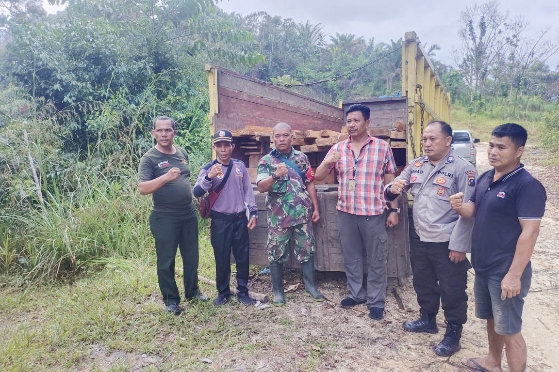 Petugas gabungan temukan ada perambahan hutan, tim mengamankan sejumlah barang bukti kayu ilegal logging, fhoto : istimewa.