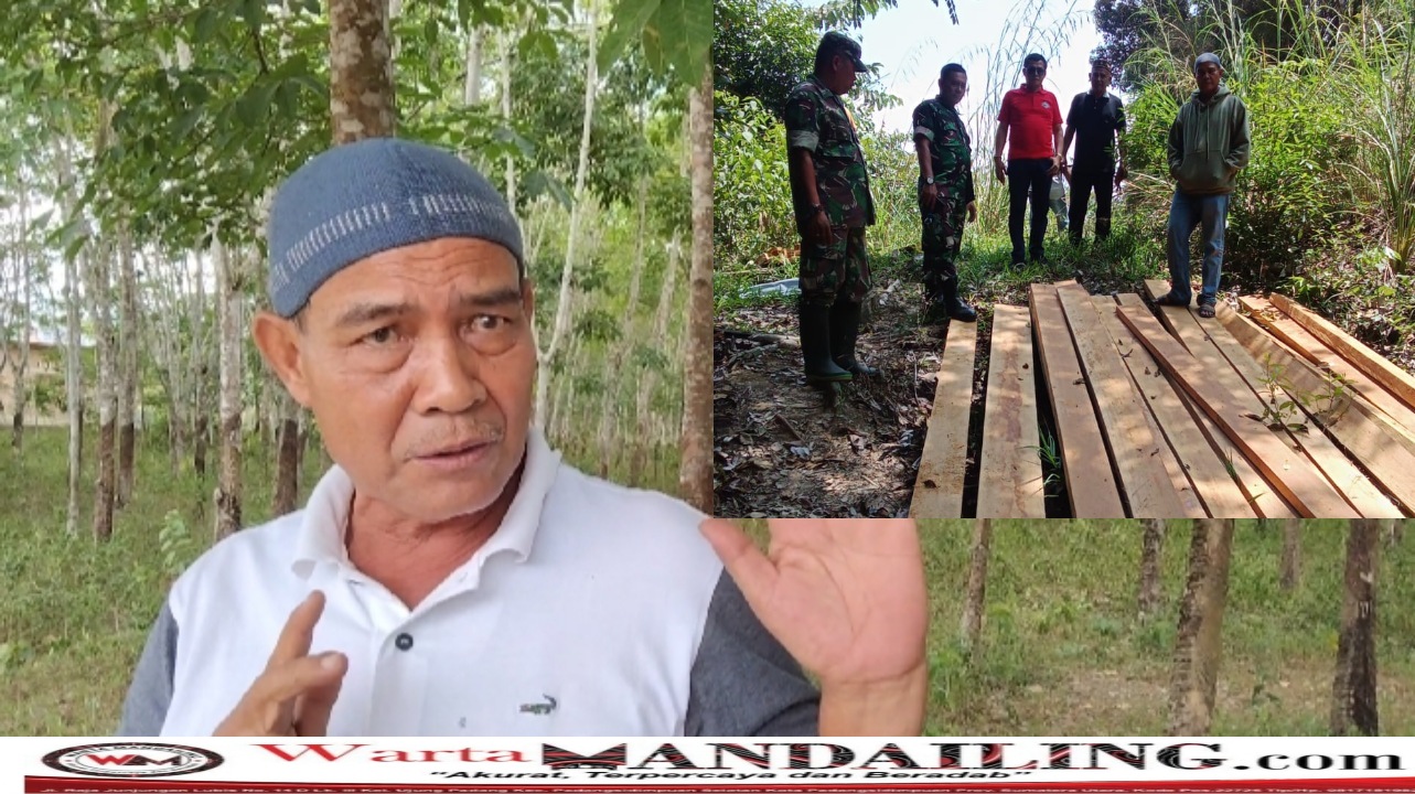 Ketua Rim Nitahi Hayuara Mardomu Bulung Kaslan Dalimunthe dan foto dokumentasi saat tim melakukan monitoring dan mendapatkan kayu balok sabun di wilayah hutan Mosa. fhoto : istimewa.