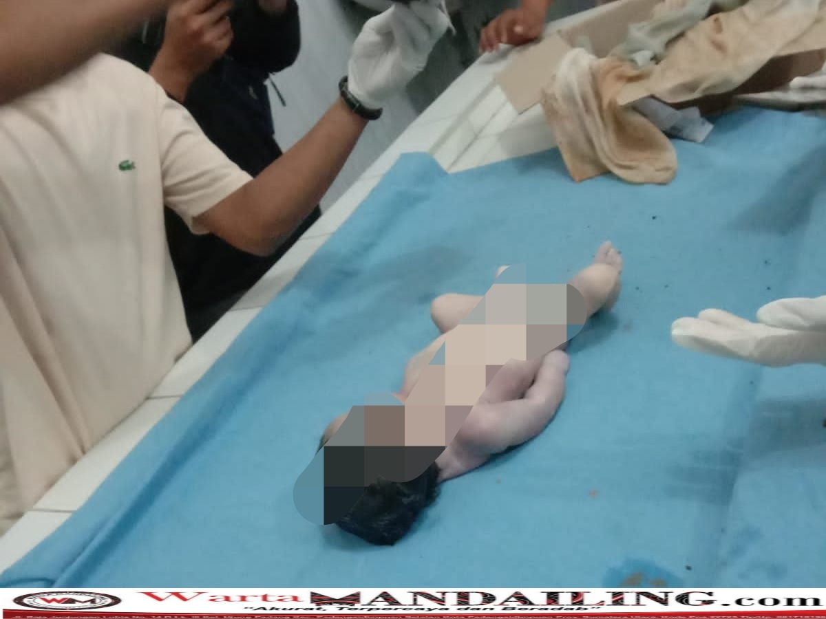 Tim medis pihak Rumah Sakit umum Panyabungan saat melakukan pemeriksaan pada mayat bayi diruang instalasi RSUD Panyabungan. Rabu (5/7/2023) fhoto : istimewa.