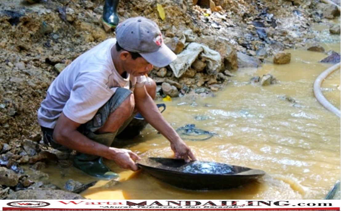 Seorang penambang tradisional tampak sedang membersihkan serpihan emas dengan alat tradisional (Dulang) di pinggir sungai, fhoto : istimewa.