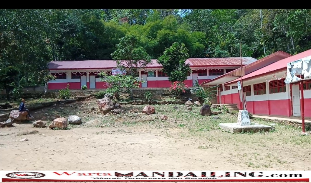 Gedung sekolah ini dikosongkan guru, karena takut dengan adanya ditemukan jejak harimau di belakang sekolah, siswa sementara belajar di gedung MDA Desa Hutapungkut, Selasa (22/8/2023) fhoto : Munir Lubis/Warta Mandailing.