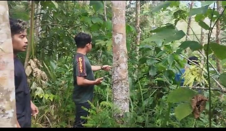 Polsek Kotanopan, Koramil 014 , TNBG bersama sejumlah masyarakat Desa Sayurmaincat berangkat menuju lokasi Ahmad Khoir Lubis yang melihat Harimau Sumatera. Dari hasil pengamatan di lokasi, ternyata benar ada jejak kaki binatang buas tersebut. fhoto : Istimewa.