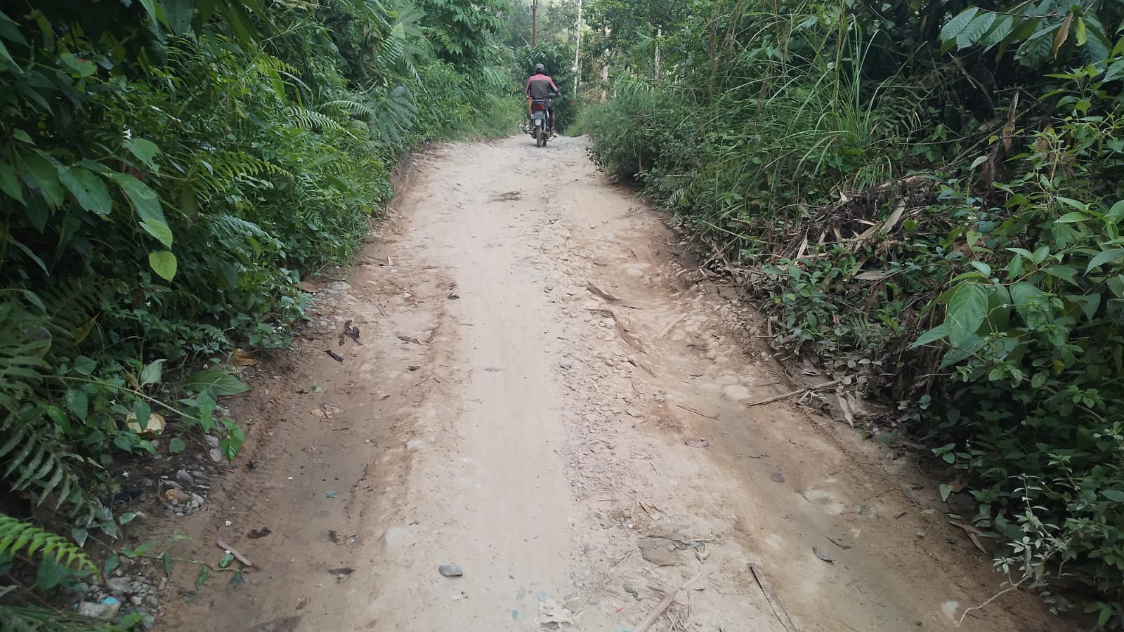 Akses jalan kabupaten menuju Desa Simandolam dan Muarapotan yang perlu mendapatkan alokasi anggaran untuk pengaspalan dari pemerintah daerah, Selasa (05/03/2024). fhoto : Wartamandailing / Munir Lubis.
