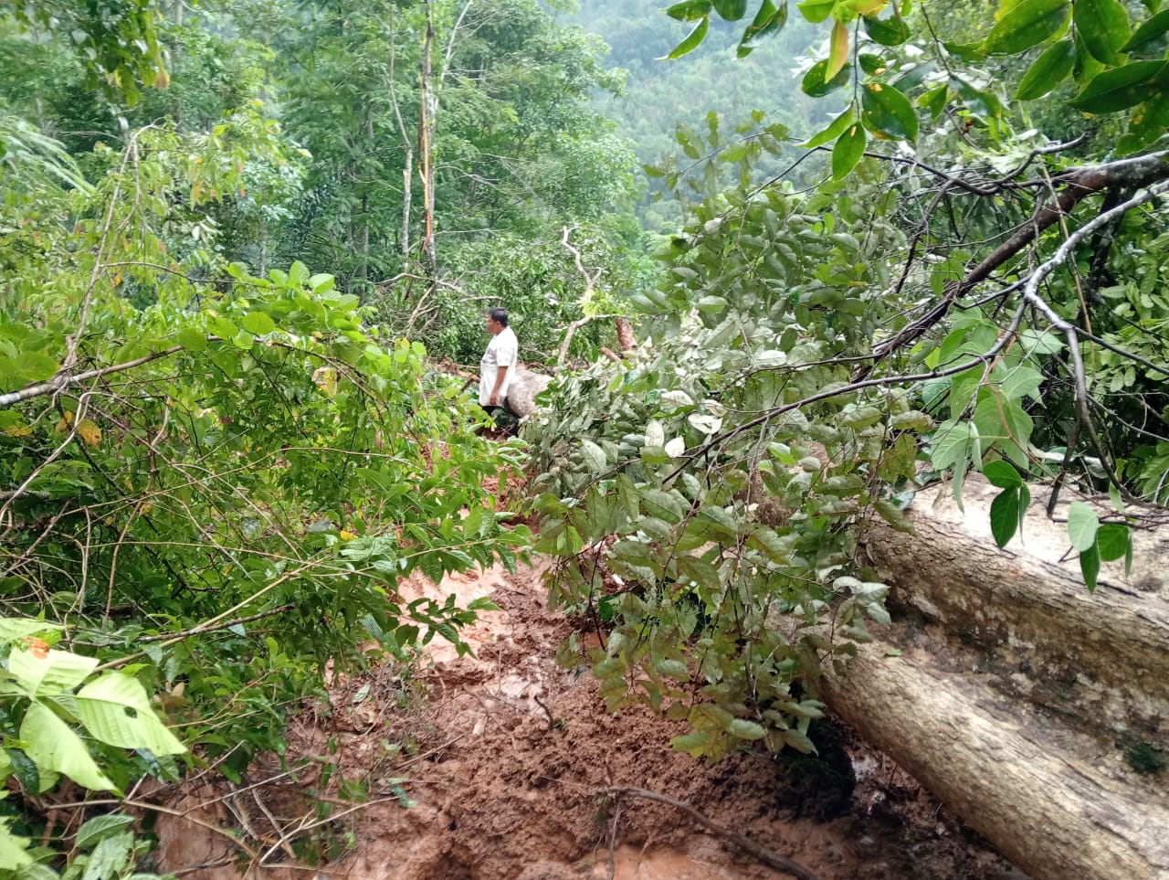 Kondisi Jalan Menuju Desa Gunungtua SM  yang tertimpa tanah longsor dan kayu besar, jalan kini Putus Total, fhoto : Munir Lubis / Wartamandailing.